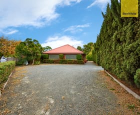 Medical / Consulting commercial property leased at 105 Warrandyte Road Ringwood North VIC 3134