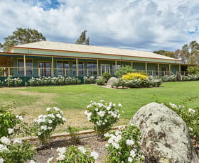 Hotel, Motel, Pub & Leisure commercial property leased at 3 Belvoir Park Road Bendigo VIC 3550