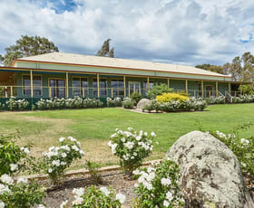 Hotel, Motel, Pub & Leisure commercial property leased at 3 Belvoir Park Road Bendigo VIC 3550