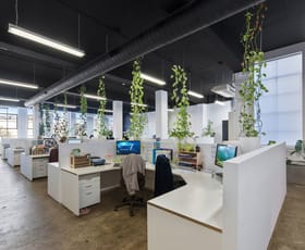 Offices commercial property leased at 5/113 Reservoir Street Surry Hills NSW 2010
