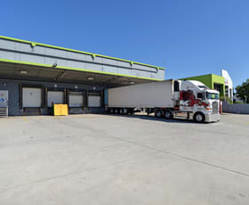 Factory, Warehouse & Industrial commercial property leased at 69 Alexandra Place Murarrie QLD 4172