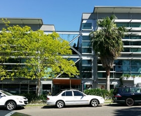 Offices commercial property leased at Brookvale NSW 2100