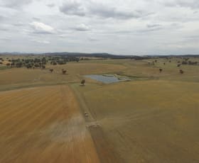 Rural / Farming commercial property leased at Ascot Mundarlo via Gundagai Mundarlo NSW 2729
