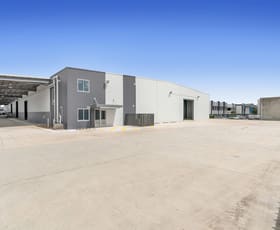 Factory, Warehouse & Industrial commercial property for lease at 1B/31 Paringa Road Murarrie QLD 4172