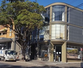 Offices commercial property leased at Level 2/60 Moncur Street Woollahra NSW 2025