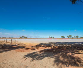 Factory, Warehouse & Industrial commercial property leased at 373 Edward Road Meru WA 6530