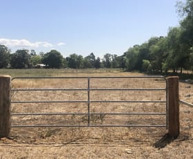 Rural / Farming commercial property leased at Cranfield Paddocks Raworth Street Singleton NSW 2330