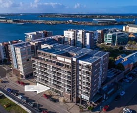 Offices commercial property leased at Lot 6/ 14 Honeysuckle Drive Newcastle NSW 2300