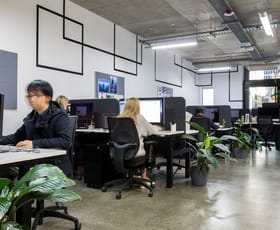 Medical / Consulting commercial property leased at level 5/17-19 Alberta Street Surry Hills NSW 2010