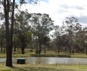 Rural / Farming commercial property leased at 388 Quorrobolong Road Quorrobolong NSW 2325