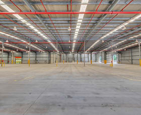 Showrooms / Bulky Goods commercial property leased at Tenancy 2/7 Williamson Road Ingleburn NSW 2565