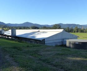 Rural / Farming commercial property for lease at 1036B Mountain Top Road Stony Chute NSW 2480
