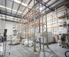 Factory, Warehouse & Industrial commercial property leased at 6 Wirega Avenue Kingsgrove NSW 2208
