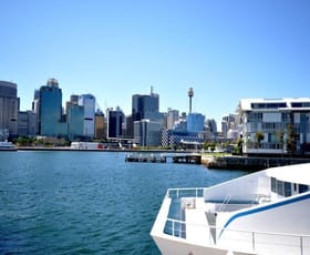 Offices commercial property leased at 87/26-32 Jones Bay Wharf Pyrmont NSW 2009