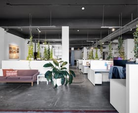 Showrooms / Bulky Goods commercial property leased at 113 Reservoir Street Surry Hills NSW 2010
