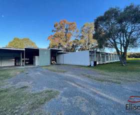 Rural / Farming commercial property leased at 77A Beveridge Street Thornlands QLD 4164