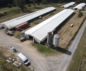 Showrooms / Bulky Goods commercial property leased at Rochedale QLD 4123
