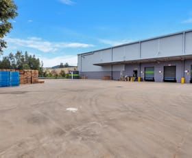 Showrooms / Bulky Goods commercial property leased at 1/415 Pembroke Minto NSW 2566