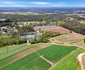 Rural / Farming commercial property for lease at 42 Salters Road Wilberforce NSW 2756