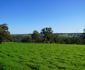 Rural / Farming commercial property leased at 204 Harrow-Clear Lake Road Harrow VIC 3317