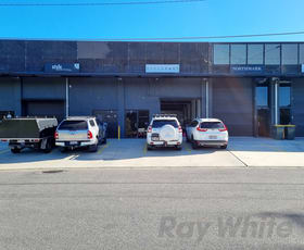 Offices commercial property leased at 3/44 Milsom Street Coorparoo QLD 4151