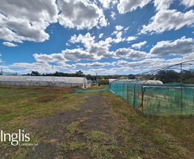 Rural / Farming commercial property for lease at Camden NSW 2570