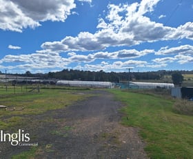 Rural / Farming commercial property for lease at Camden NSW 2570