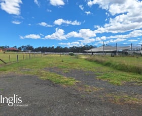 Rural / Farming commercial property for lease at Camden NSW 2570