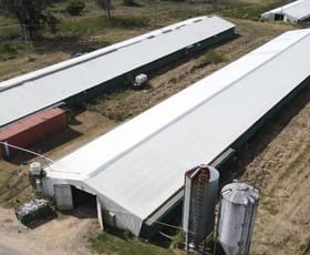 Rural / Farming commercial property for lease at 1 Nursery Rochedale QLD 4123