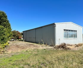 Factory, Warehouse & Industrial commercial property for lease at Sheds 1-3/252 Murray Street Tanunda SA 5352