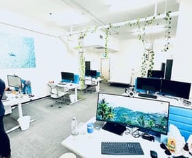 Offices commercial property leased at 336/410 Elizabeth Street Surry Hills NSW 2010