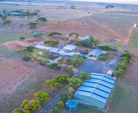 Rural / Farming commercial property for lease at 245 Narraburra Road Little River VIC 3211