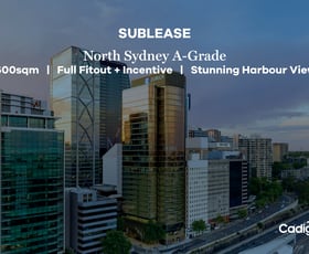 Offices commercial property for lease at 118 Mount Street North Sydney NSW 2060