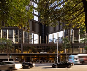 Offices commercial property for lease at 252 Pitt Street Sydney NSW 2000