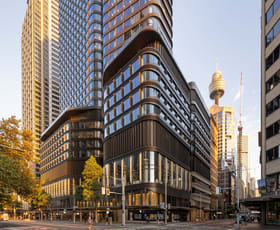 Offices commercial property for lease at 252 Pitt Street Sydney NSW 2000