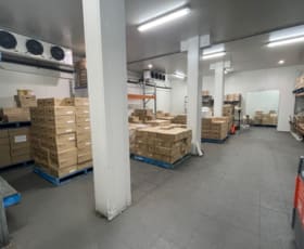Factory, Warehouse & Industrial commercial property leased at 5/4-6 Lilian Fowler Place Marrickville NSW 2204