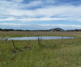 Rural / Farming commercial property leased at CA's/3A & 3C Cnr Yankee Flat Rd & McCarthys Road Navigators VIC 3352