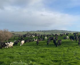 Rural / Farming commercial property leased at 464 Timboon-Colac Road Scotts Creek VIC 3267