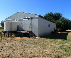 Rural / Farming commercial property leased at 237 Jacks Rd Rutherglen VIC 3685