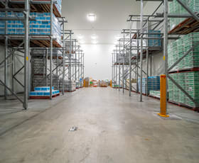 Showrooms / Bulky Goods commercial property for lease at 19 Calabro Way Burleigh Heads QLD 4220