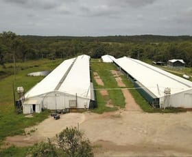 Rural / Farming commercial property for lease at 676 Grieve Road Rochedale QLD 4123