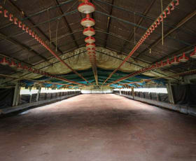 Rural / Farming commercial property for lease at 676 Grieve Road Rochedale QLD 4123
