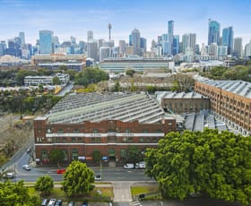 Factory, Warehouse & Industrial commercial property for lease at W2-07/42 Wattle Street Ultimo NSW 2007