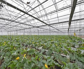 Rural / Farming commercial property for lease at 1 Mansfield Road Galston NSW 2159