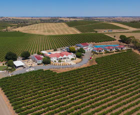 Rural / Farming commercial property for lease at Lyndoch SA 5351