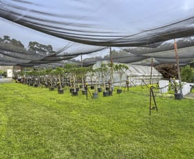 Rural / Farming commercial property for lease at 4 Larool Road Terrey Hills NSW 2084
