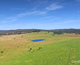 Rural / Farming commercial property for lease at North Arm Cove NSW 2324