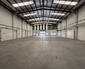 Factory, Warehouse & Industrial commercial property for lease at Brookvale NSW 2100