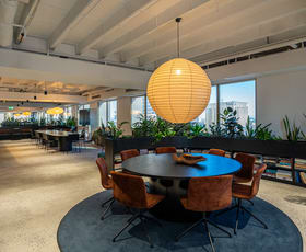 Offices commercial property for lease at Suite17.02/323 Castlereagh Street Sydney NSW 2000