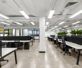 Offices commercial property for lease at Suite 203/55 Holt Street Surry Hills NSW 2010
